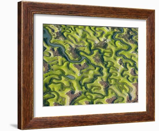 Saltmarsh at Low Tide Near Cadiz, Spain, February 2008-Niall Benvie-Framed Photographic Print