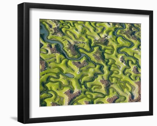 Saltmarsh at Low Tide Near Cadiz, Spain, February 2008-Niall Benvie-Framed Photographic Print