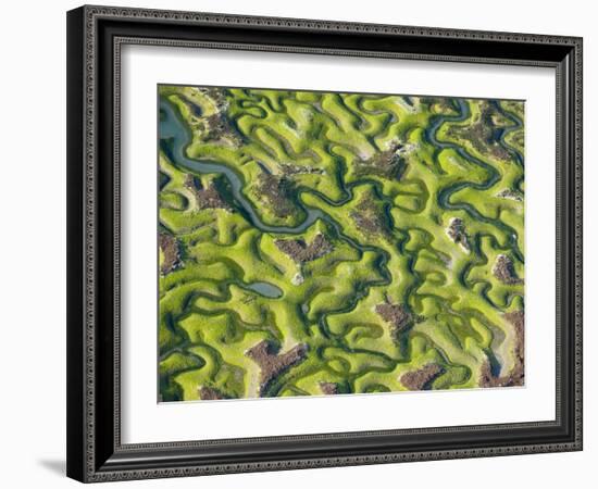 Saltmarsh at Low Tide Near Cadiz, Spain, February 2008-Niall Benvie-Framed Photographic Print