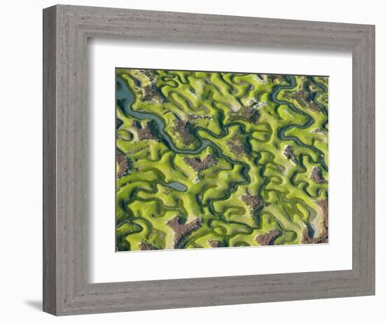 Saltmarsh at Low Tide Near Cadiz, Spain, February 2008-Niall Benvie-Framed Photographic Print