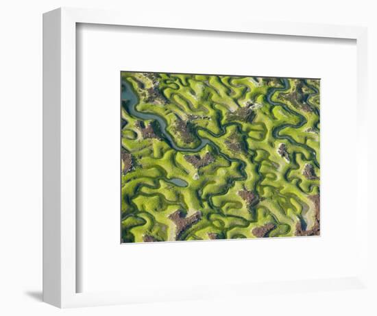 Saltmarsh at Low Tide Near Cadiz, Spain, February 2008-Niall Benvie-Framed Photographic Print