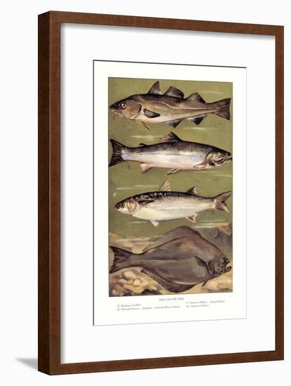 Saltwater Fish-null-Framed Art Print