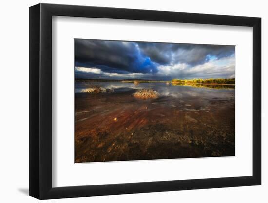 Saltwater Marsh Landscape, Cabo Rojo, Puerto Rico-George Oze-Framed Photographic Print