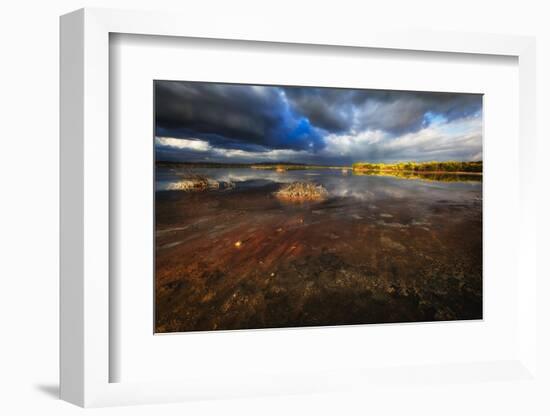 Saltwater Marsh Landscape, Cabo Rojo, Puerto Rico-George Oze-Framed Photographic Print