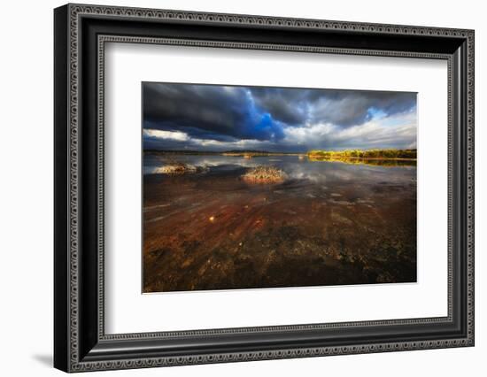 Saltwater Marsh Landscape, Cabo Rojo, Puerto Rico-George Oze-Framed Photographic Print