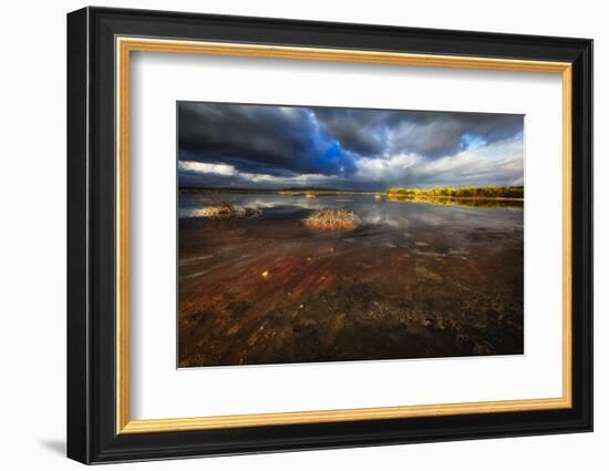 Saltwater Marsh Landscape, Cabo Rojo, Puerto Rico-George Oze-Framed Photographic Print