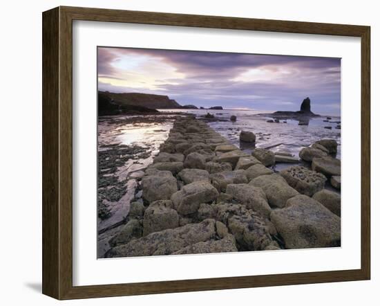 Saltwick Bay Is South of Whitby and the Distinctively Shaped Black Nab Rock-LatitudeStock-Framed Photographic Print