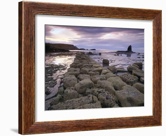 Saltwick Bay Is South of Whitby and the Distinctively Shaped Black Nab Rock-LatitudeStock-Framed Photographic Print