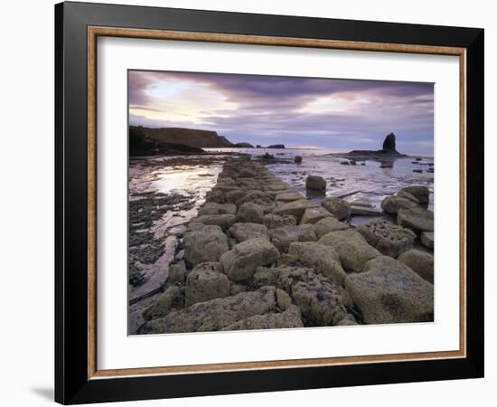 Saltwick Bay Is South of Whitby and the Distinctively Shaped Black Nab Rock-LatitudeStock-Framed Photographic Print