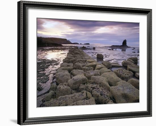 Saltwick Bay Is South of Whitby and the Distinctively Shaped Black Nab Rock-LatitudeStock-Framed Photographic Print