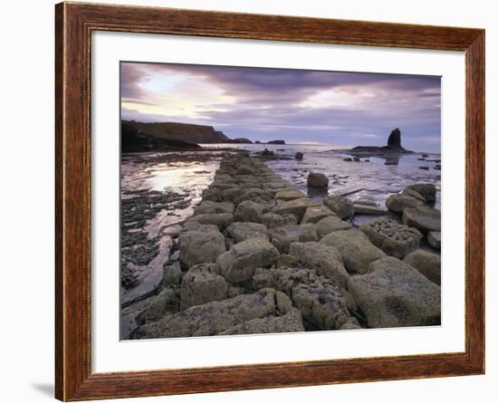Saltwick Bay Is South of Whitby and the Distinctively Shaped Black Nab Rock-LatitudeStock-Framed Photographic Print