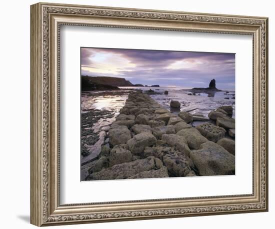 Saltwick Bay Is South of Whitby and the Distinctively Shaped Black Nab Rock-LatitudeStock-Framed Photographic Print