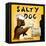 Salty Dog-Janet Kruskamp-Framed Stretched Canvas