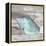 Salty Kisses Aqua Shell-Diane Stimson-Framed Stretched Canvas