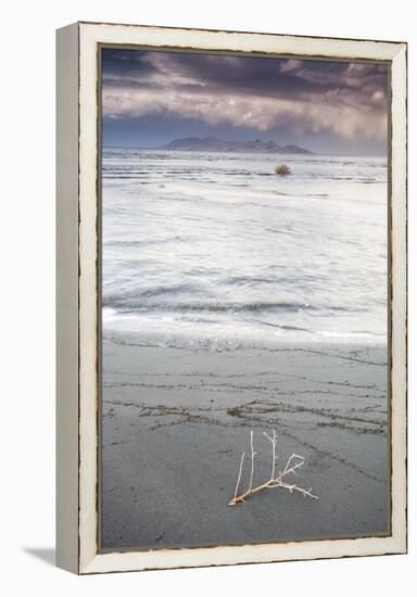 Salty Tumble Weed In The Great Salt Lake With Antelope Island In The Background-Lindsay Daniels-Framed Premier Image Canvas