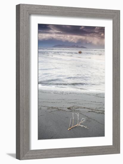 Salty Tumble Weed In The Great Salt Lake With Antelope Island In The Background-Lindsay Daniels-Framed Photographic Print