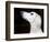 Saluki Looking Up-Henry Horenstein-Framed Photographic Print