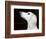 Saluki Looking Up-Henry Horenstein-Framed Photographic Print