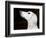 Saluki Looking Up-Henry Horenstein-Framed Photographic Print