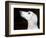 Saluki Looking Up-Henry Horenstein-Framed Photographic Print