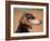 Saluki Profile-Adriano Bacchella-Framed Photographic Print