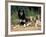 Saluki with Two Puppies-Adriano Bacchella-Framed Photographic Print