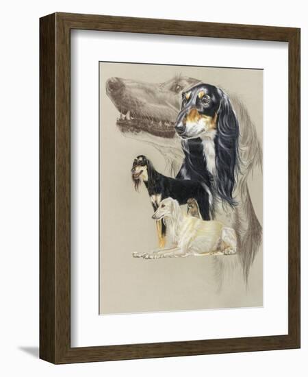 Saluki-Barbara Keith-Framed Giclee Print