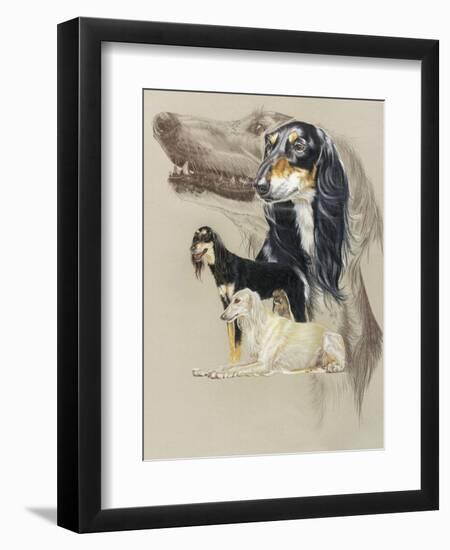 Saluki-Barbara Keith-Framed Giclee Print