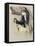 Saluki-Barbara Keith-Framed Premier Image Canvas