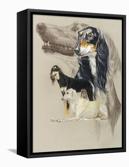 Saluki-Barbara Keith-Framed Premier Image Canvas