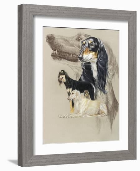 Saluki-Barbara Keith-Framed Giclee Print