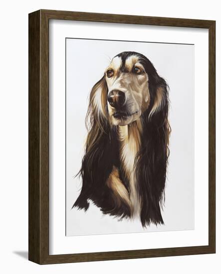 Saluki-Barbara Keith-Framed Giclee Print