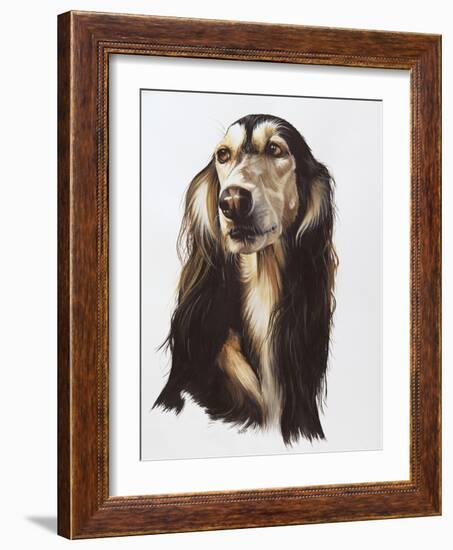 Saluki-Barbara Keith-Framed Giclee Print