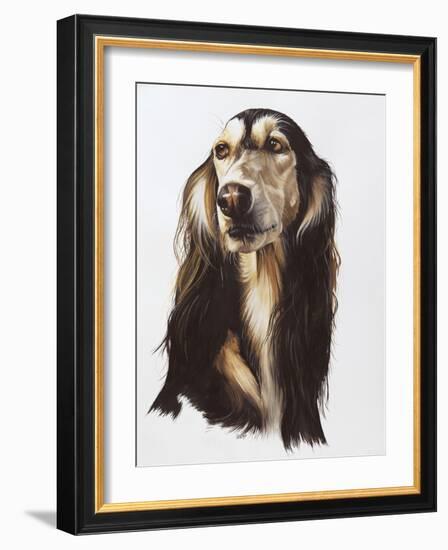 Saluki-Barbara Keith-Framed Giclee Print