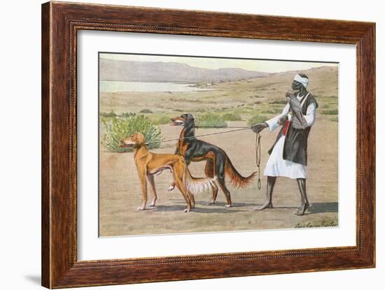 Salukis, Man and Facon-Louis Agassiz Fuertes-Framed Art Print