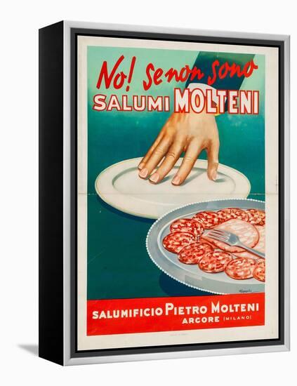 Salumi Molteni-N. R. Queuza-Framed Stretched Canvas