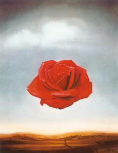 Rose Meditative, c.1958