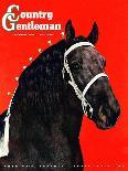 "Black Bull," Country Gentleman Cover, February 1, 1944-Salvadore Pinto-Framed Premier Image Canvas
