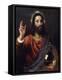 Salvator Mundi (Saviour of the World), C1570-Titian (Tiziano Vecelli)-Framed Premier Image Canvas