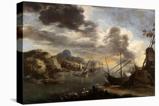 Stretched Canvas Print, , large