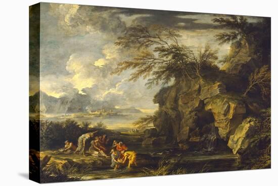 Stretched Canvas Print, , large