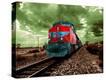 Stretched Canvas Print