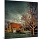 Premium Photographic Print
