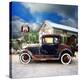 Stretched Canvas Print
