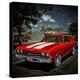 Stretched Canvas Print