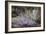 Salvia and Other Blue and Purple Flowers in Raised Bed in Garden, London-Pedro Silmon-Framed Photo