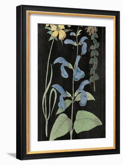 Salvia Florals II on Black-Wild Apple Portfolio-Framed Art Print