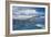 Salvin's Albatross In Flight-Tony Camacho-Framed Photographic Print