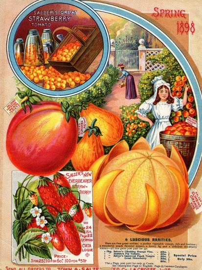 Premium Giclee Print, , large