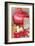 Salzer's Improved Red Onion-null-Framed Art Print